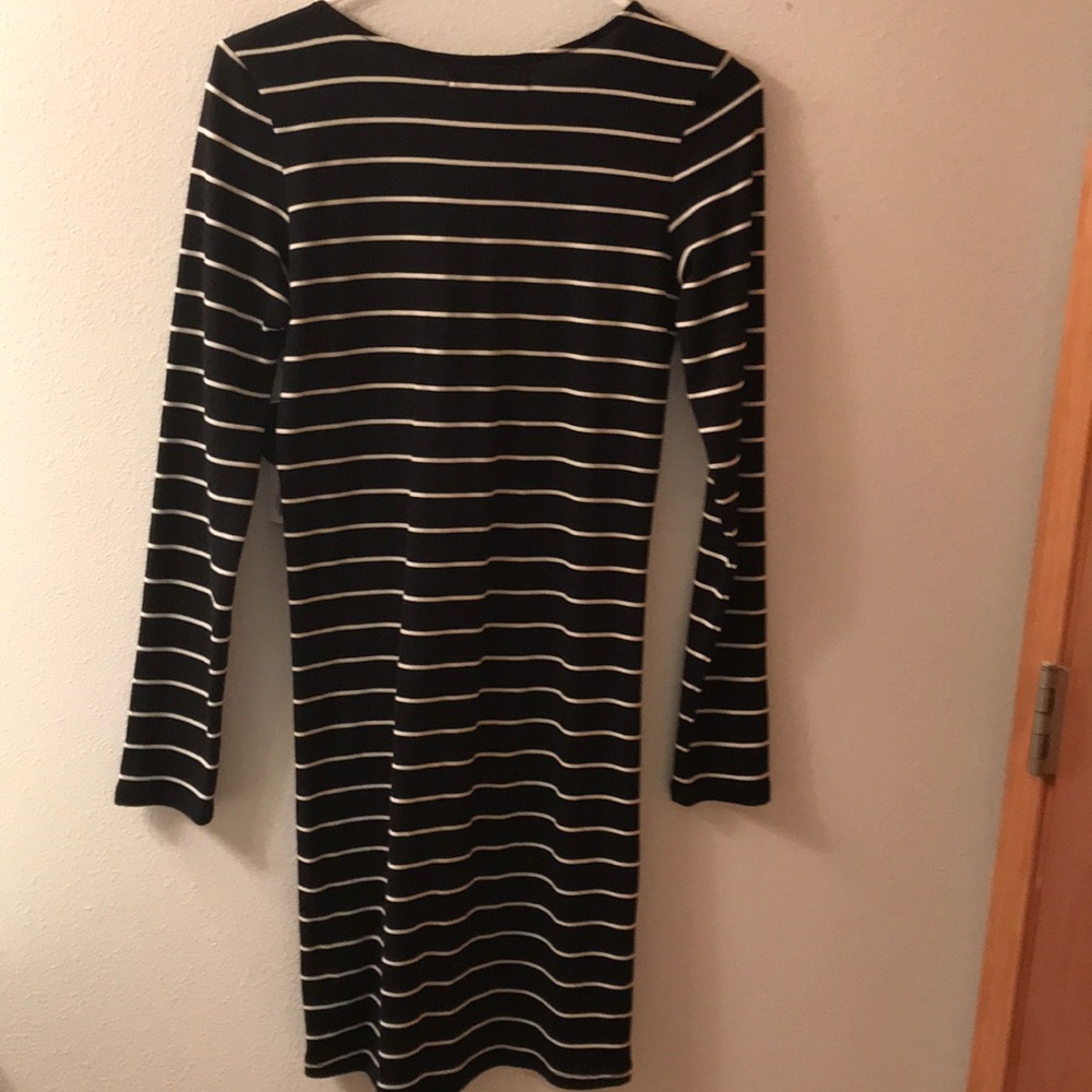 Amuse society Black and cream striped dress